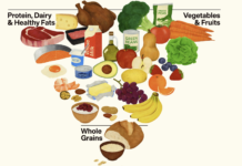 Le nuove Linee guida USA per l’alimentazione Le nuove Linee guida USA per l’alimentazione (fonte: realfood.gov)