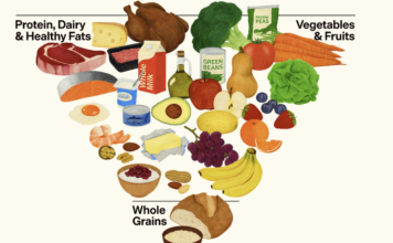 La piramide MAHA Le nuove Linee guida USA per l’alimentazione (fonte: realfood.gov)