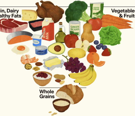 Le nuove Linee guida USA per l’alimentazione Le nuove Linee guida USA per l’alimentazione (fonte: realfood.gov)