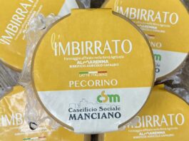 L’Imbirrato, il pecorino affinato nella birra agricola
