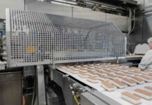 Report IGI sulla sostenibilità del gelato industriale