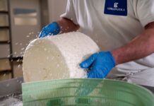 Gorgonzola: record di produzione nel 2025