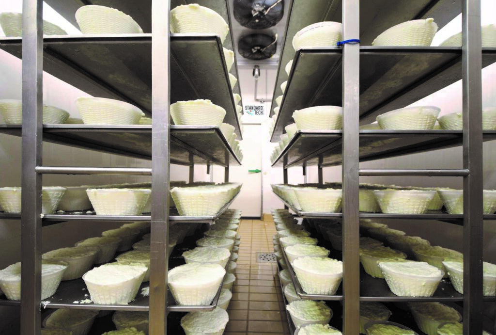 Amatrice. Per i suoi pecorini e ricotte di alta qualità F.lli Petrucci ha installato il condizionamento Clear Clima® e il sistema di raffreddamento Cryorapid®