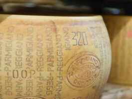 Nuovo stabilimento di taglio e confezionamento per Dalterfood Group Nuovo stabilimento di taglio e confezionamento per Dalterfood Group che permetterà di aumentare la capacità produttiva del gruppo