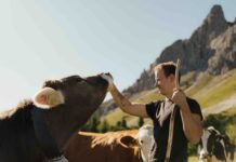 Latte Alto Adige: il dietro le quinte