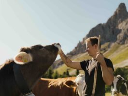 Latte Alto Adige: il dietro le quinte