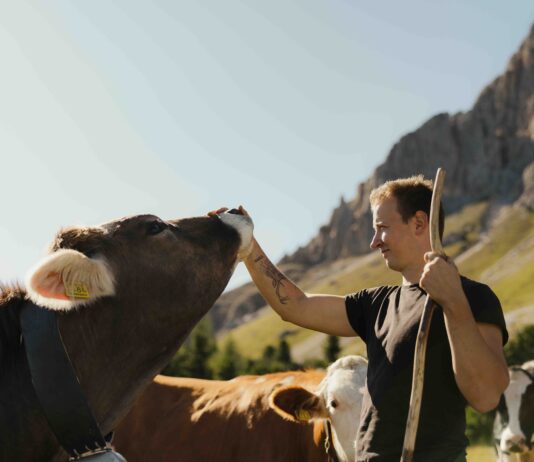 Latte Alto Adige: il dietro le quinte
