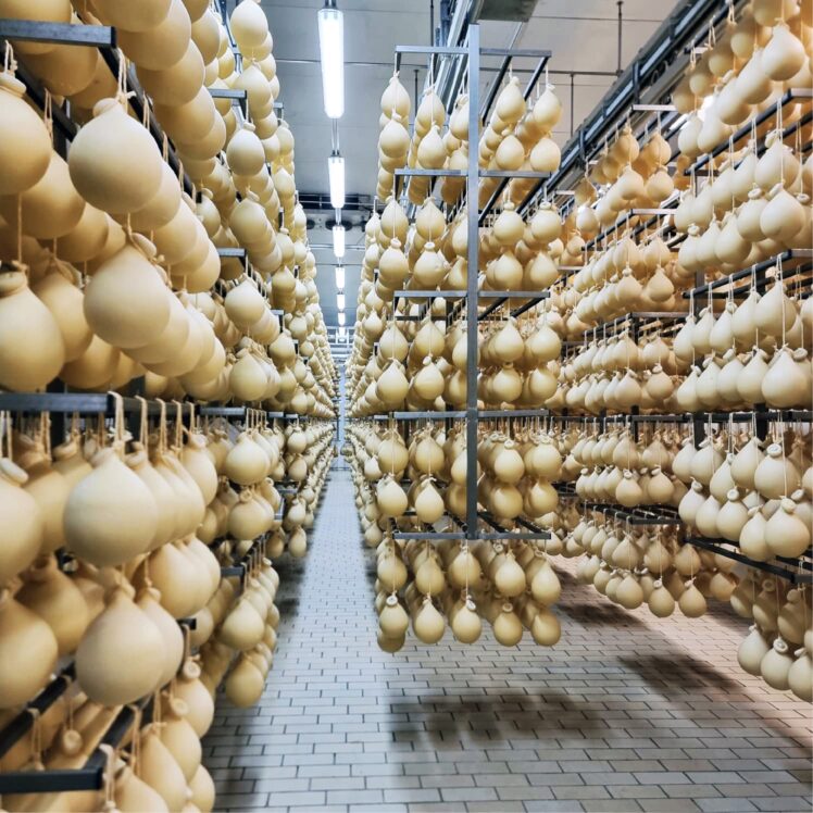 Impianti di guidovia Guidoparma per il lattiero-caseario