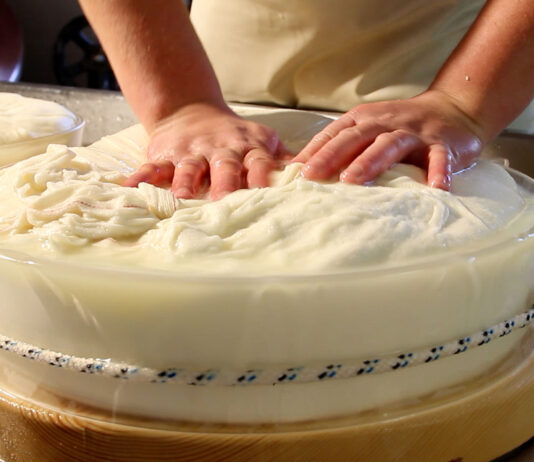 Fontina: al via il nuovo disciplinare