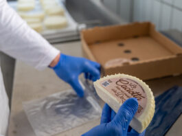 Rinasce il caseificio del carcere della Dozza di Bologna