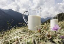 I dati 2025 del settore lattiero altoatesino