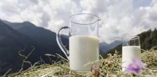 I dati 2025 del settore lattiero altoatesino