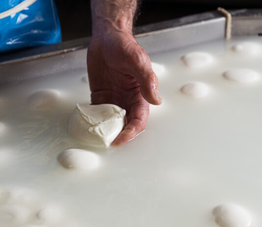 Mozzarella Bufala Campana: allarme costi di produzione