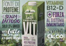 Latte Trento: una fine del 2025 difficile