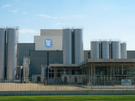 Debutta Dolce Vita Proteins, newco tra IGOR e VanDrie