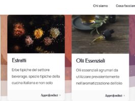 Ambienta investe in GFF