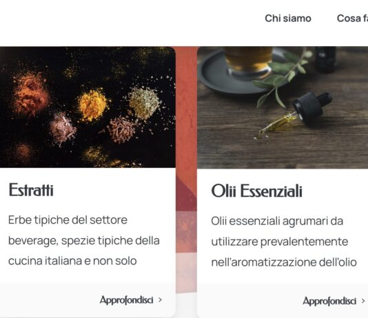 Ambienta investe in GFF