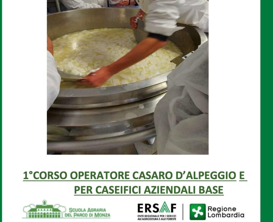 Corso per casari in Val Chiavenna