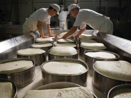 Latte cooperativo: il futuro è nell’aggregazione