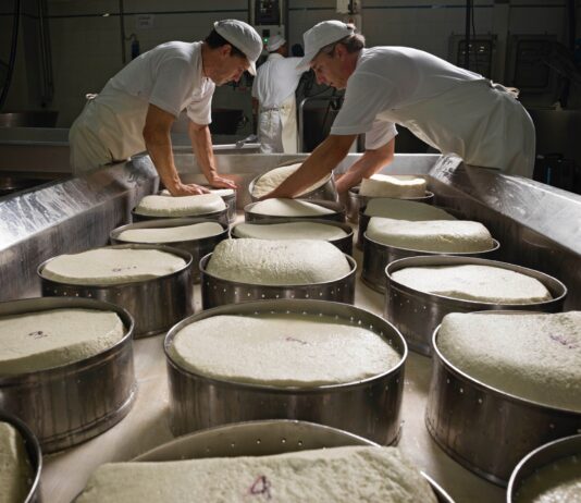 Latte cooperativo: il futuro è nell’aggregazione