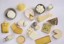 Lallemand Specialty Cultures: oltre 100 anni di esperienza microbiologica al servizio dell’industria casearia