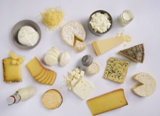 Lallemand Specialty Cultures: oltre 100 anni di esperienza microbiologica al servizio dell’industria casearia