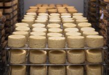 Correlazione tra flavor e proteine del latte
