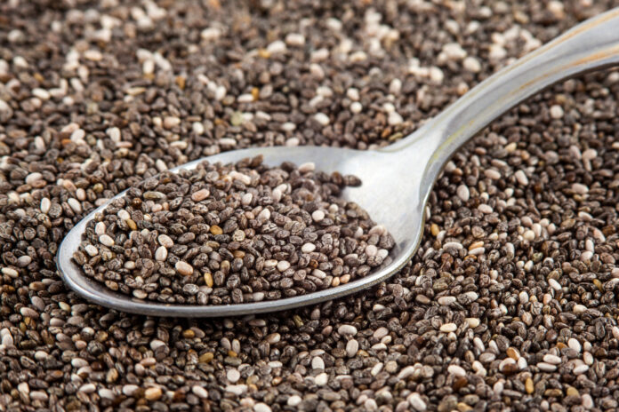 Chia seeds (Salvia hispanica)