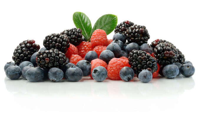 shutterstock_123420727-1-e1654611220828