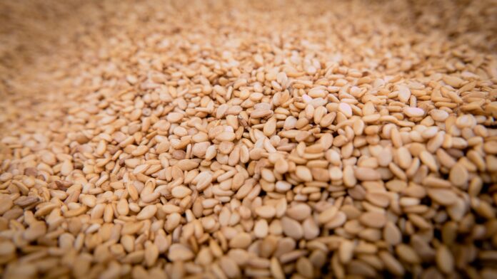 sesame-g190b0526a_1920