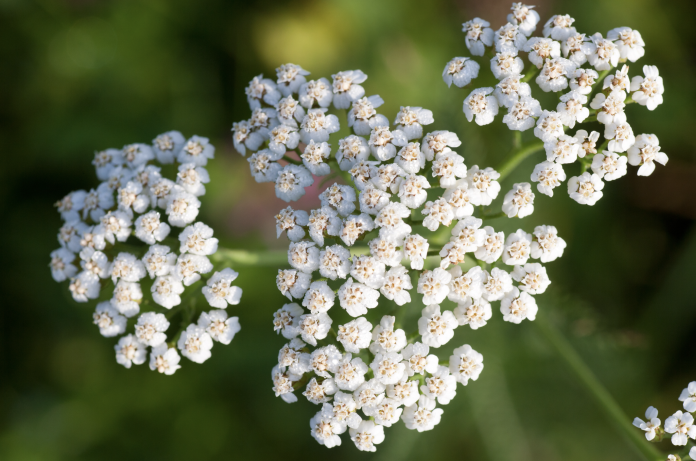 Schermata 2023-05-12 alle 09.27.30