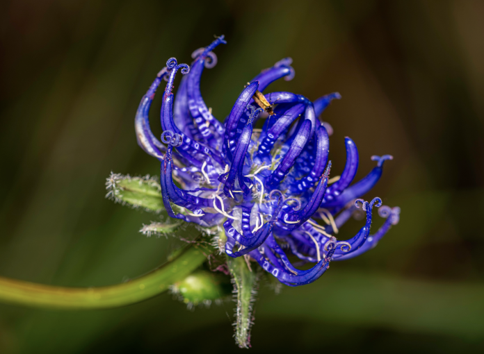 Schermata 2023-05-18 alle 16.20.29