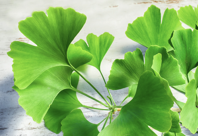 Schermata 2023-05-22 alle 10.49.16