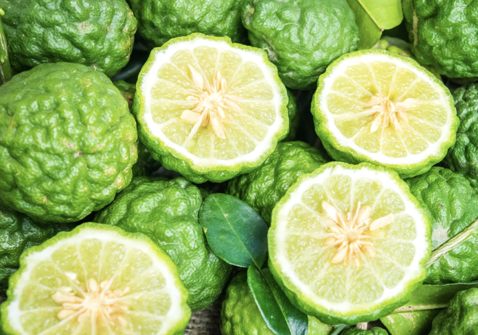 Schermata 2023-06-26 alle 11.16.24