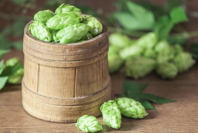 Schermata 2023-06-28 alle 10.15.22