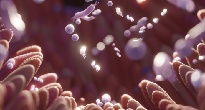 microbioma intestinale