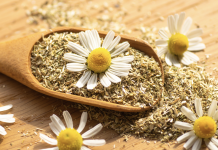 Attività della camomilla nella sindrome dell’ovaio policistico