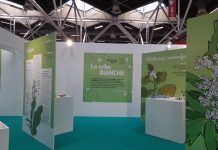 La Via delle Erbe 2023, i contenuti delle relazioni