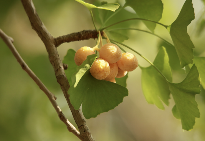 Screenshot 2023-10-20 alle 09.23.19