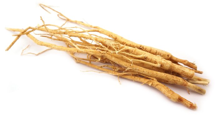 Dried,Astragalus,Membranaceus,Root,Isolated,On,White,Background