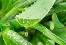 XII FORUM NAZIONALE FEI