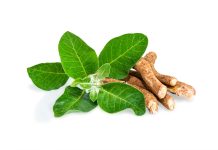 Proprietà salutistiche dei prodotti naturali