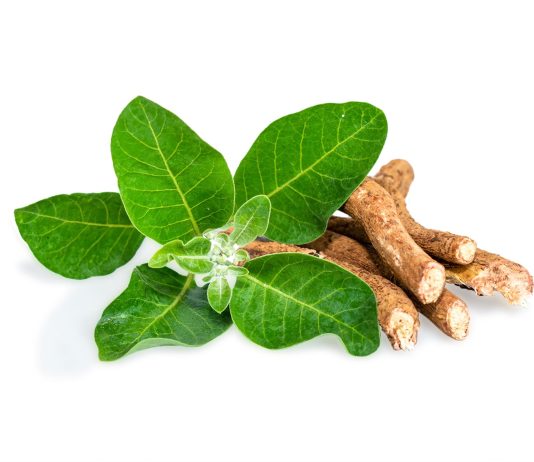 Proprietà salutistiche dei prodotti naturali