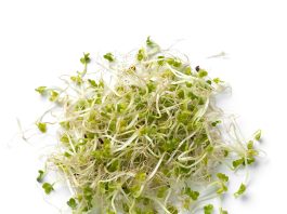 Dai germogli di broccoli al cervello: il potenziale neuroprotettivo del sulforafano