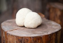 Hericium erinaceus e malattia di Alzheimer