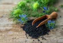 Nigella sativa migliora i sintomi della menopausa