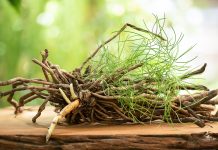 Shatavari, un aiuto per i sintomi della menopausa