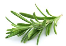 Lavanda e rosmarino per il benessere della gola