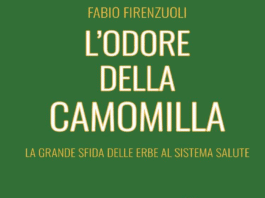 L’odore della camomilla