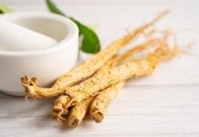 Bacche di ginseng e andropausa